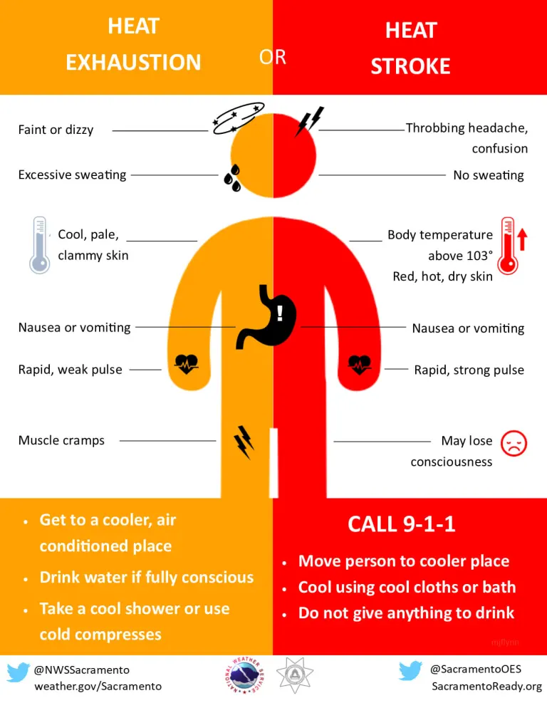 Heat Stroke versus Heat Exhaustion Flyer, Content Included on Page, Link Opens in New Tab